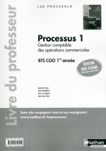 PROCESSUS 1 BTS 1 CGO PROFESSEUR - 2013