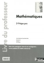 Mathématiques 3ème prépa-pro - professeur - 2016