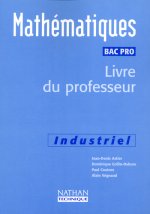 MATHS BAC PRO INDUSTRIEL PROF 2001
