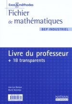 MATHS BEP INDUSTRIEL (EXOS & METHODES) PR+TRANSPARENTS