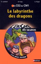 ENIGME VAC CE2 AU CM1 LABYRINT