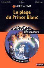 ENIGME VAC CE2 AU CM1 LA PLAGE