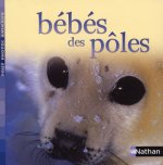 BEBES DES POLES