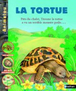 TORTUE