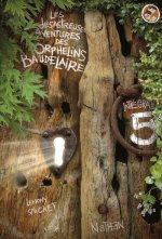 LES DESASTREUSES AVENTURES DES ORPHELINS BAUDELAIRE INTEGRALE 5