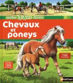 CHEVAUX ET PONEYS