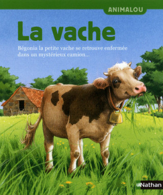 VACHE