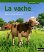 VACHE