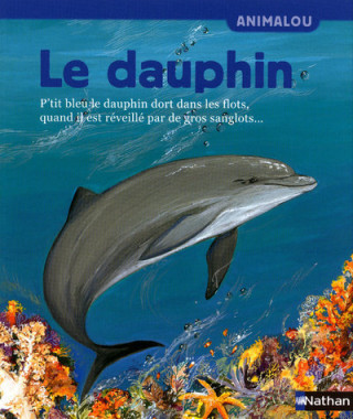 DAUPHIN