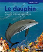 DAUPHIN