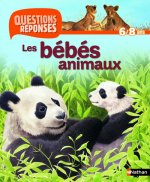 N08 - LES BEBES ANIMAUX NE - QUESTIONS/REPONSES 6/8 ANS
