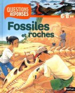 N16 - FOSSILES ET ROCHES - QUESTIONS/REPONSES 6/8 ANS