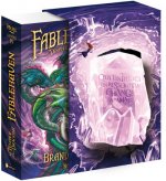 COFFRET FABLEHAVEN T4 LE TEMPLE DES DRAGONS