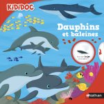 Kididoc