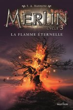 Merlin cycle 3 - tome 3 La flamme éternelle