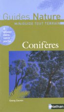 CONIFERES