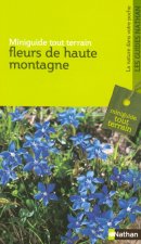 FLEURS DE HAUTE MONTAGNE