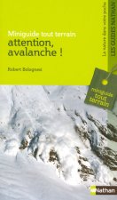 ATTENTION AVALANCHE