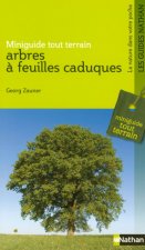 ARBRES A FEUILLES CADUQUES