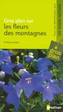 FLEURS DES MONTAGNES