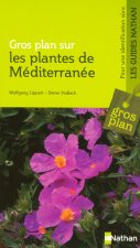 PLANTES DE MEDITERRANEE
