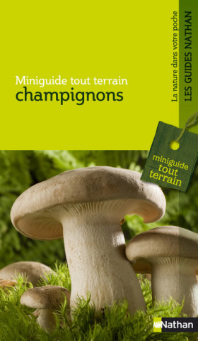 CHAMPIGNONS