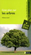 LES ARBRES
