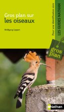 Gros plan sur les oiseaux