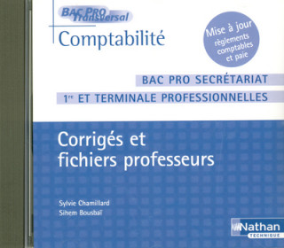 COMPTABILITE BAC PRO SECRETARIAT CD ROM 1RE ET TERMINALE PROFESSIONNELLES CORRIGES ET FICHIERS PROF