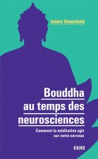 Bouddha au temps des neurosciences - Comment la méditation agit sur notre cerveau