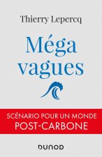 Mégavagues - Scénario pour un monde post-carbone