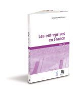 Les entreprises en France éd. 2013