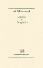 Spinoza et l'imaginaire
