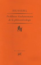 Problèmes fondamentaux de la phénoménologie