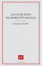 Les enquêtes de mobilité sociale