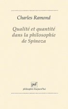 Qualité et quantité dans la philosophie de Spinoza