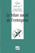 Le bilan social de l'entreprise