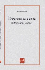 L'experience de la chute.  De Montaigne à Michaux