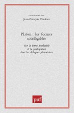 Platon. Les formes intelligibles
