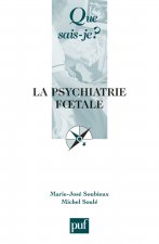 La psychiatrie foetale