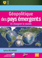 Géopolitique des pays émergents