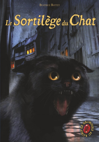 Le grimoire au rubis