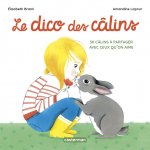 Mes imagiers tout carrés - Le dico des câlins
