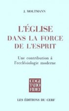 L'Église dans la force de l'Esprit