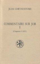 Commentaire sur Job - tome 1 (chapitres I-XIV)