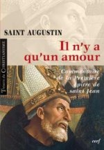 Il n'y a qu'un amour