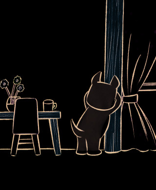 Le cache-cache des animaux