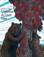 l'automne de l ours brun