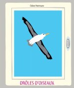 droles d oiseaux