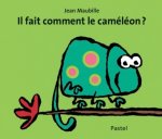 il fait comment le caméléon ?